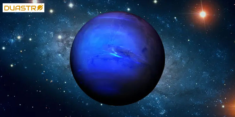 Neptunian Plants and Dreams 
